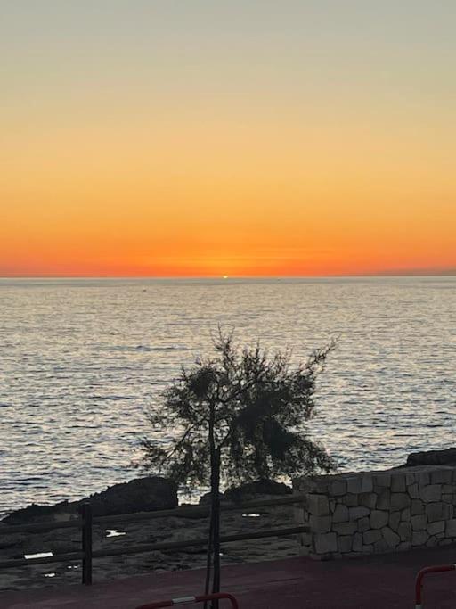 Panoramico Appartamento Lido Conchiglie Gallipoli Eksteriør billede
